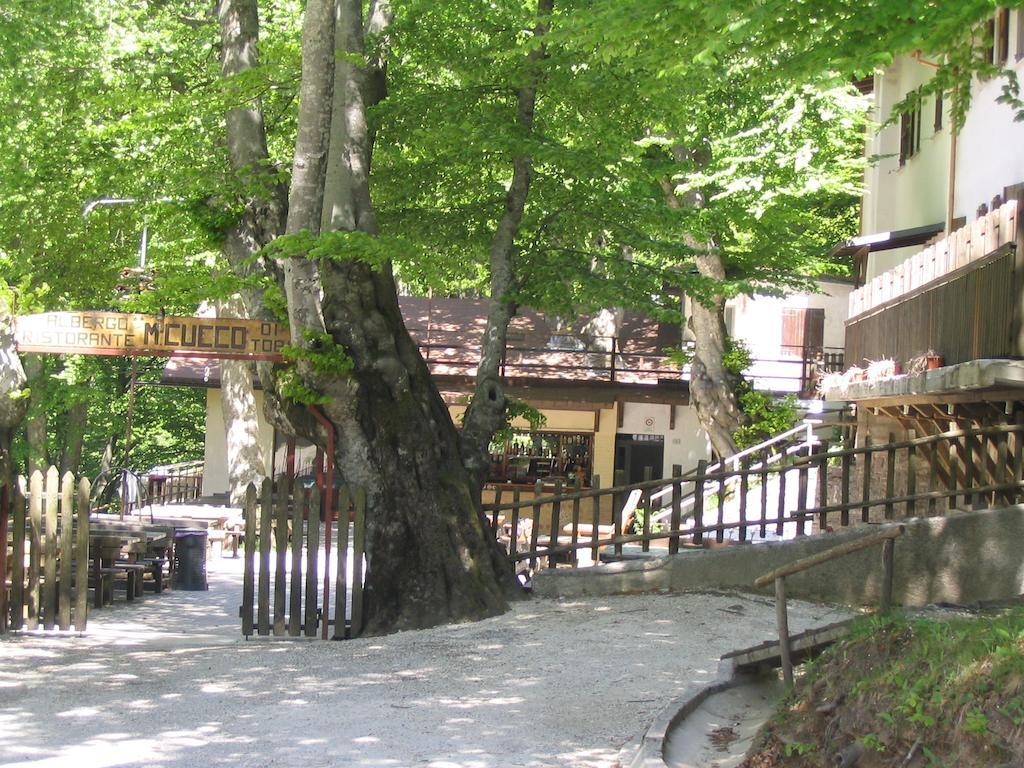 Albergo Ristorante Montecucco da Tobia Sigillo Exterior foto